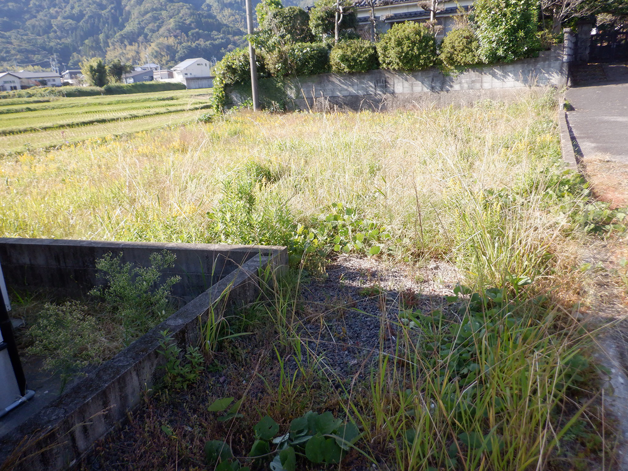 姶良市平松 土地