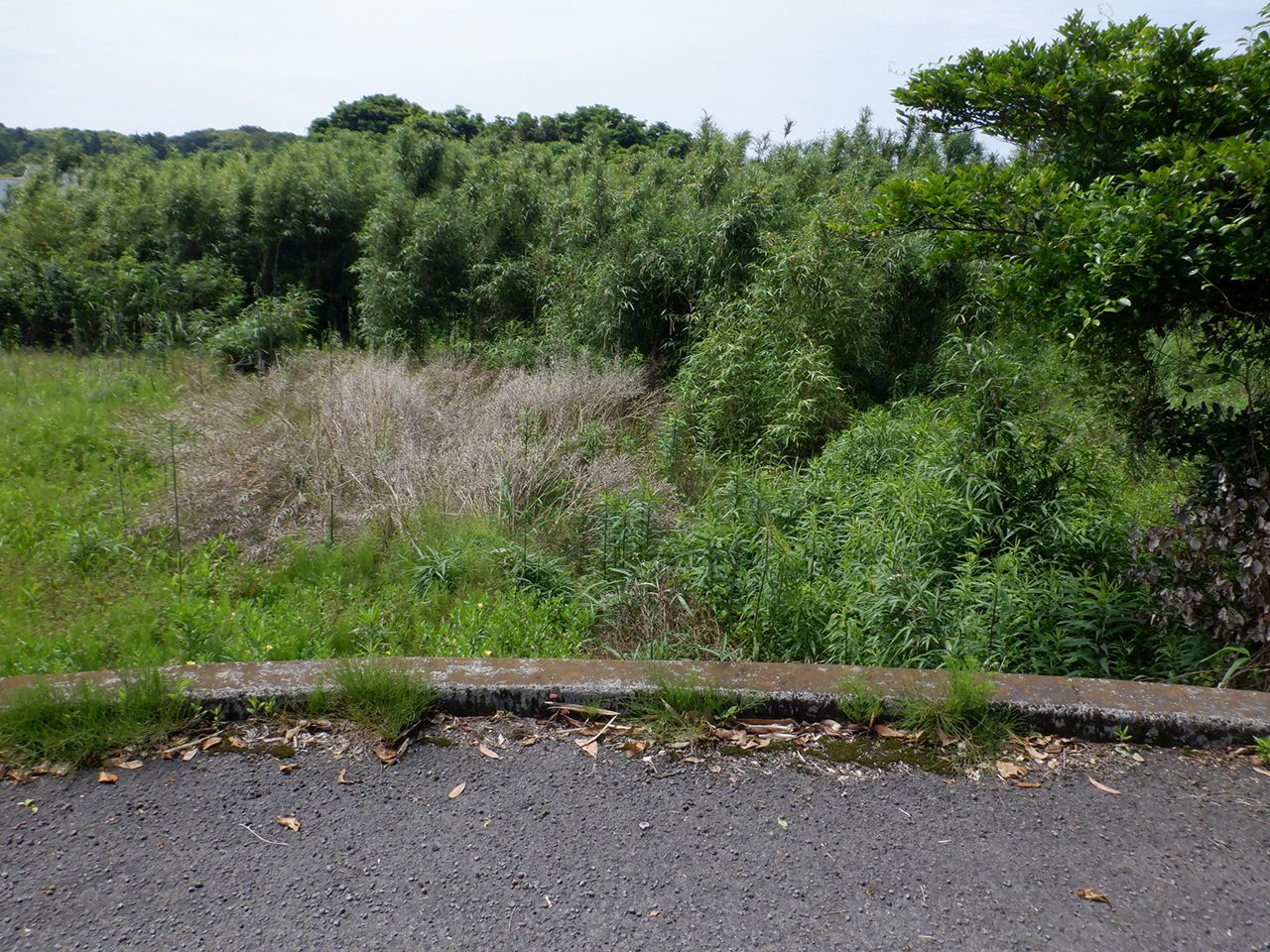 吉野町 土地